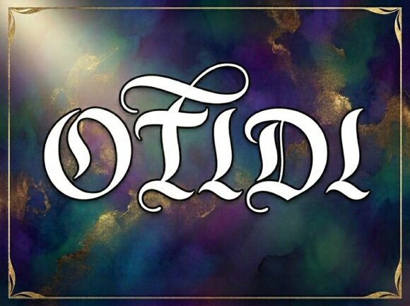 Otidi: A Designer's Honest Review for Real Projects